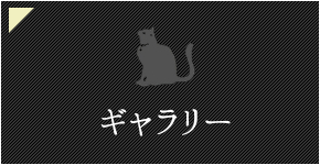 ギャラリー